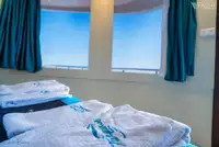 டைவ் ஆதரவு விற்பனைக்கு