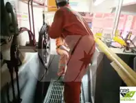 ஆய்வு கப்பல் விற்பனைக்கு