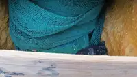 டிராலர் விற்பனைக்கு