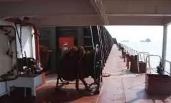 லேண்டிங் கிராஃப்ட், டேங்க் விற்பனைக்கு