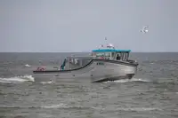 பயணிகள் கப்பல் விற்பனைக்கு