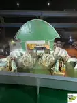 ரோ-ரோ கப்பல் விற்பனைக்கு