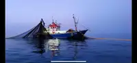 Trawler விற்பனைக்கு