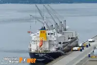 ப bulk கேரியர் விற்பனைக்கு