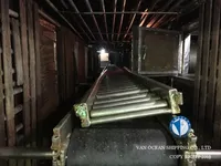 ஸ்க்விட் ஜிகர் விற்பனைக்கு