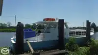 டைவ் ஆதரவு விற்பனைக்கு