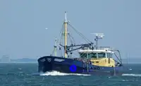 பீம் டிராலர் விற்பனைக்கு