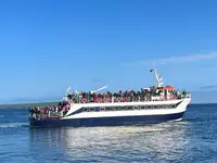 பயணிகள் கப்பல் விற்பனைக்கு