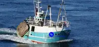 Beam trawler விற்பனைக்கு
