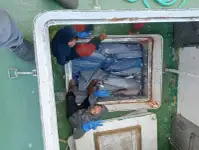 டிராலர் விற்பனைக்கு