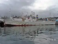 லாங்லைனர் விற்பனைக்கு