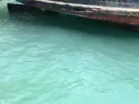 இழுக்கும் படகு விற்பனைக்கு
