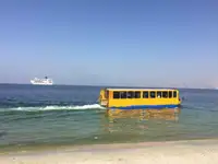 நீர்வீழ்ச்சி விற்பனைக்கு