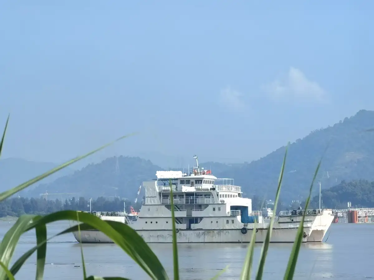 கேடமரன் விற்பனைக்கு