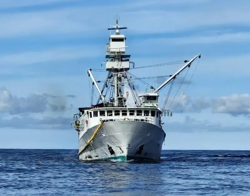 சீனர் விற்பனைக்கு