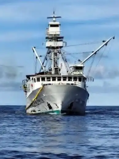 சீனர் விற்பனைக்கு