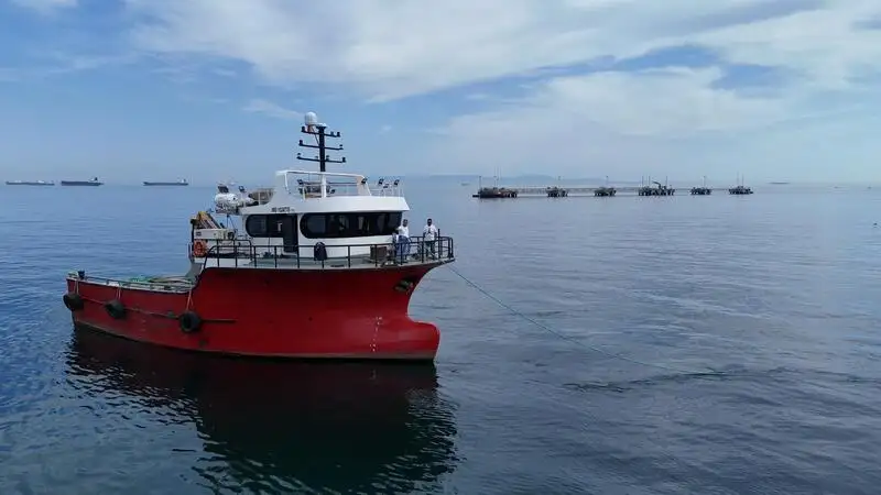 வேலை படகுகள் விற்பனைக்கு