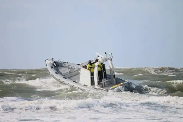 தோண்டுபவர் விற்பனைக்கு