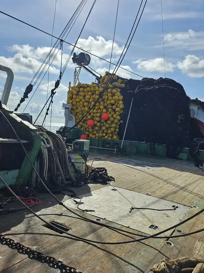 சீனர் விற்பனைக்கு