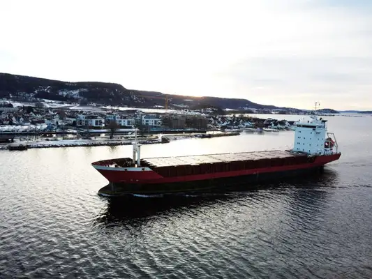 Bulk carrier for sale