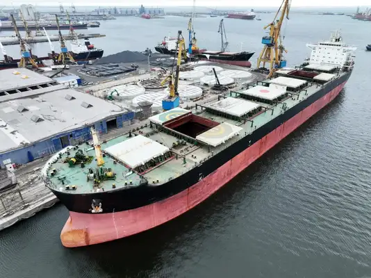 Bulk carrier for sale