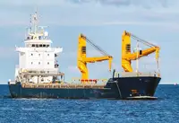 மொத்த கேரியர் விற்பனைக்கு