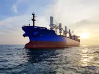 மொத்த கேரியர் விற்பனைக்கு