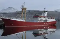 மொத்த கேரியர் விற்பனைக்கு