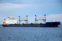 மொத்த கேரியர் விற்பனைக்கு