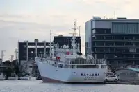 மீன்பிடி இழுவை படகு விற்பனைக்கு