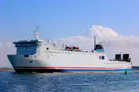 மொத்த கேரியர் விற்பனைக்கு