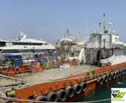 காற்று பண்ணை கப்பல் விற்பனைக்கு