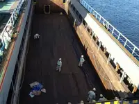 மொத்த கேரியர் விற்பனைக்கு