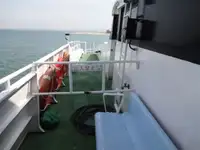 கேடமரன் விற்பனைக்கு