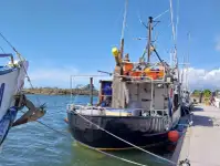 நீளமான கப்பல் விற்பனைக்கு