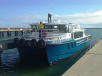கேடமரன் விற்பனைக்கு
