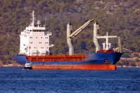 மொத்த கேரியர் விற்பனைக்கு