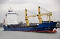 மொத்த கேரியர் விற்பனைக்கு