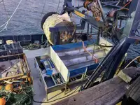 உலோக குப்பை விற்பனைக்கு