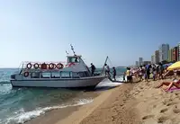 டைவ் ஆதரவு விற்பனைக்கு
