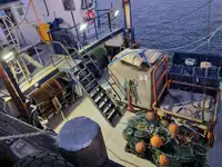 உலோக குப்பை விற்பனைக்கு