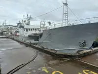 நீளமான கப்பல் விற்பனைக்கு