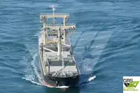 மொத்த கேரியர் விற்பனைக்கு