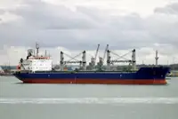 மொத்த கேரியர் விற்பனைக்கு