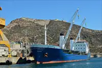 மொத்த கேரியர் விற்பனைக்கு