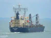 மொத்த கேரியர் விற்பனைக்கு