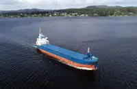 மொத்த கேரியர் விற்பனைக்கு