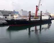 மொத்த கேரியர் விற்பனைக்கு