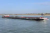 மொத்த கேரியர் விற்பனைக்கு