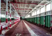 RORO கப்பல் விற்பனைக்கு